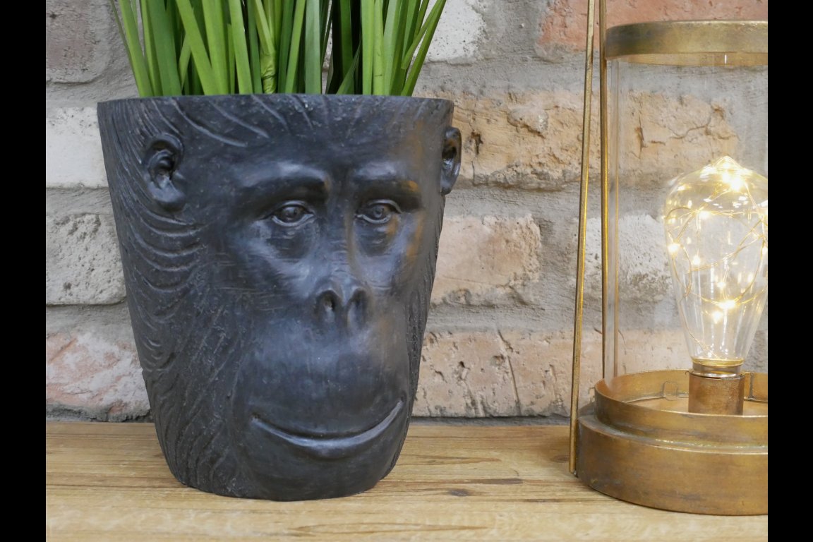 Monkey Head Planter