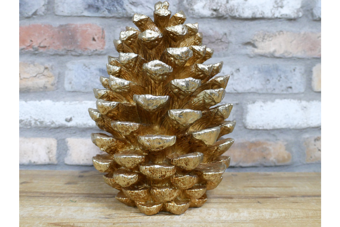 Giant Pinecone
