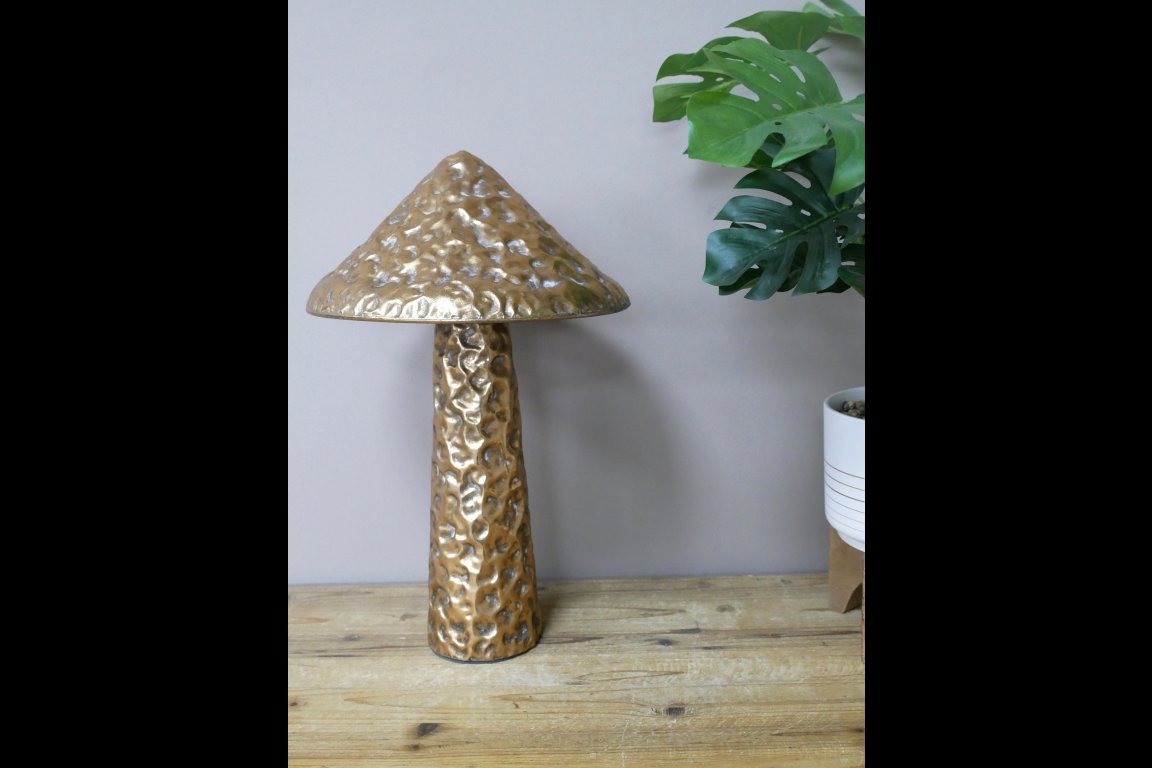 Mushroom