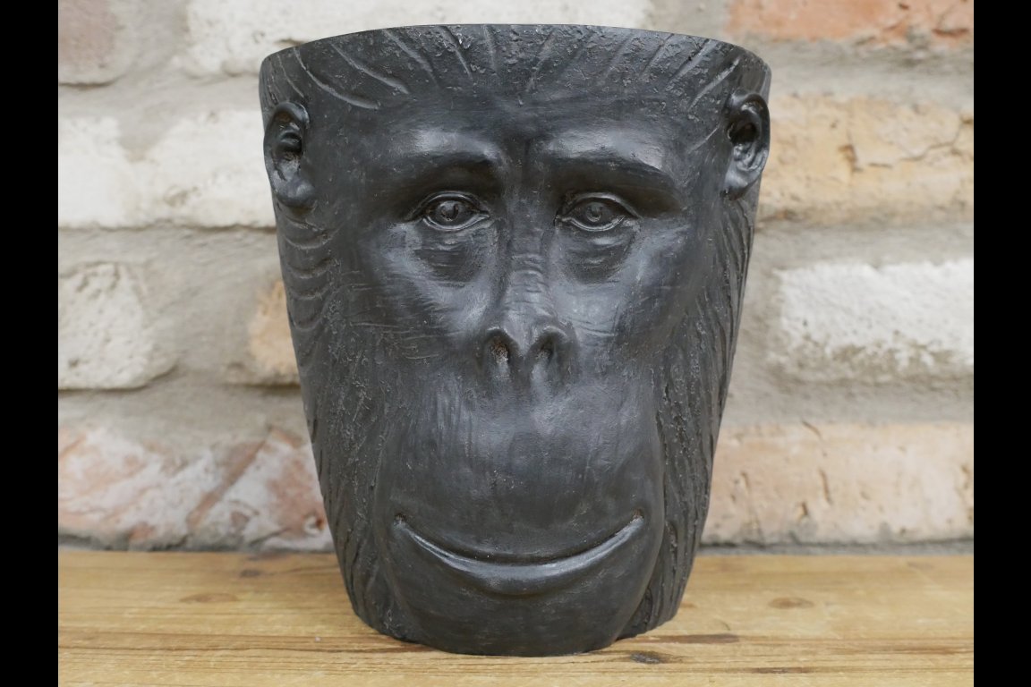 Monkey Head Planter