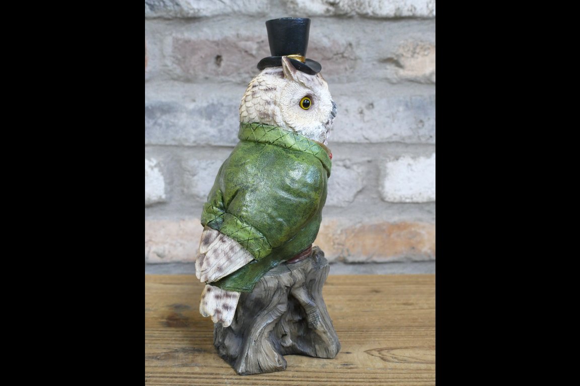 Owl In Suit