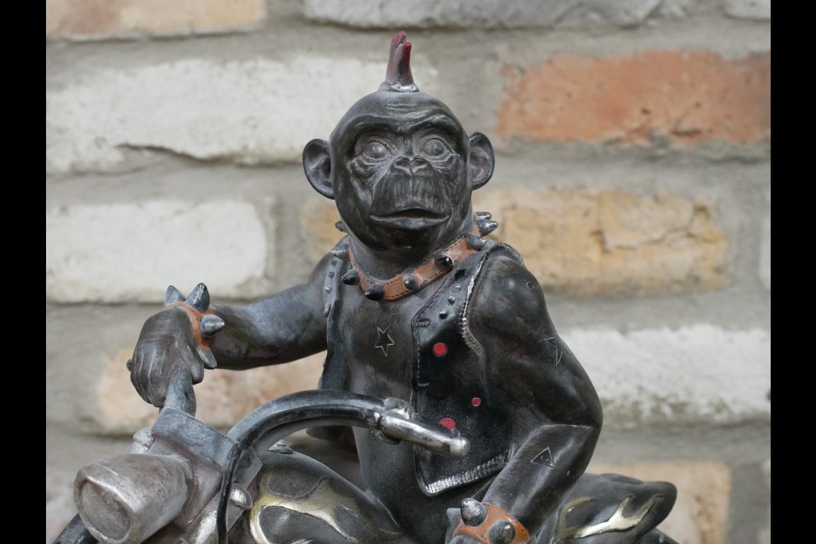 Monkey On Motorbike