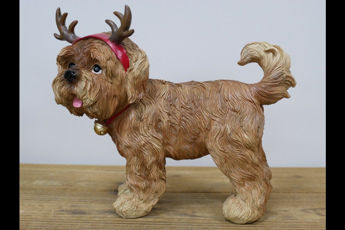 Dog With Antler Ears
