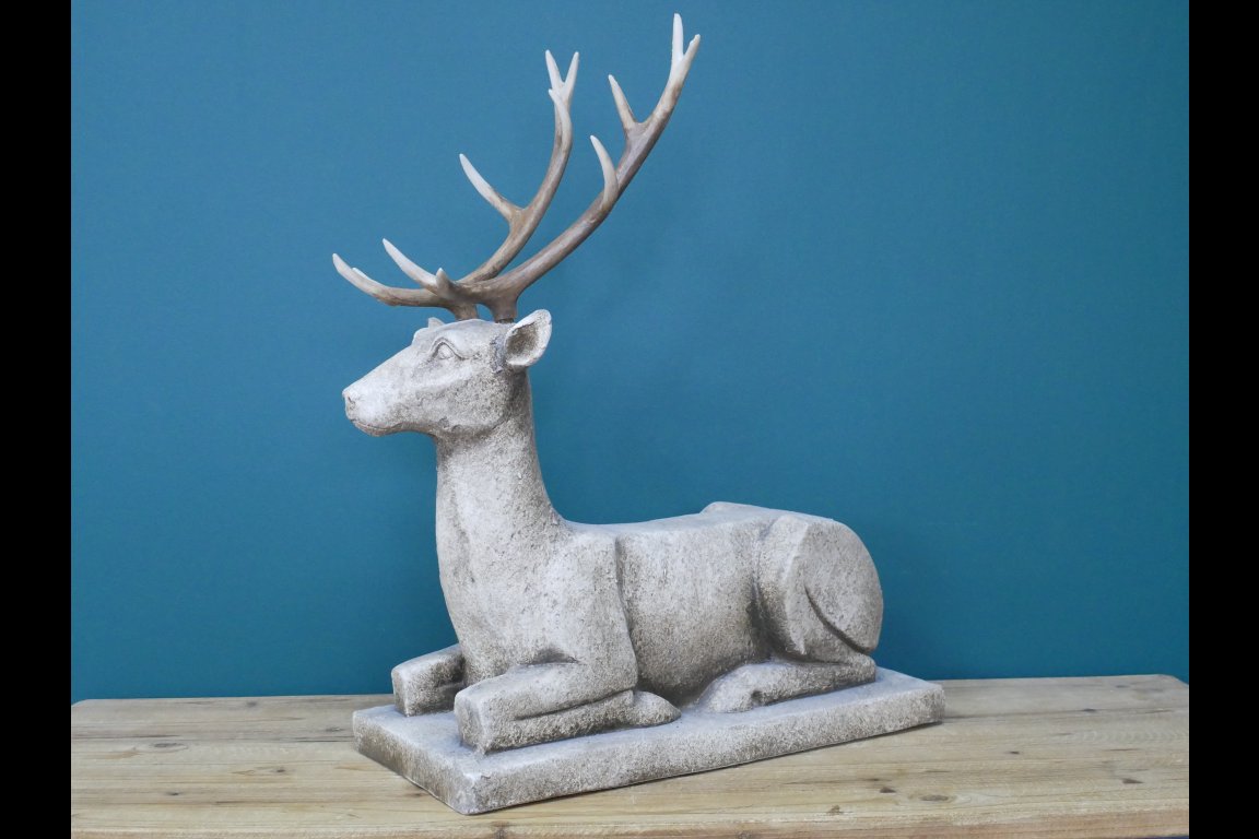 Deer