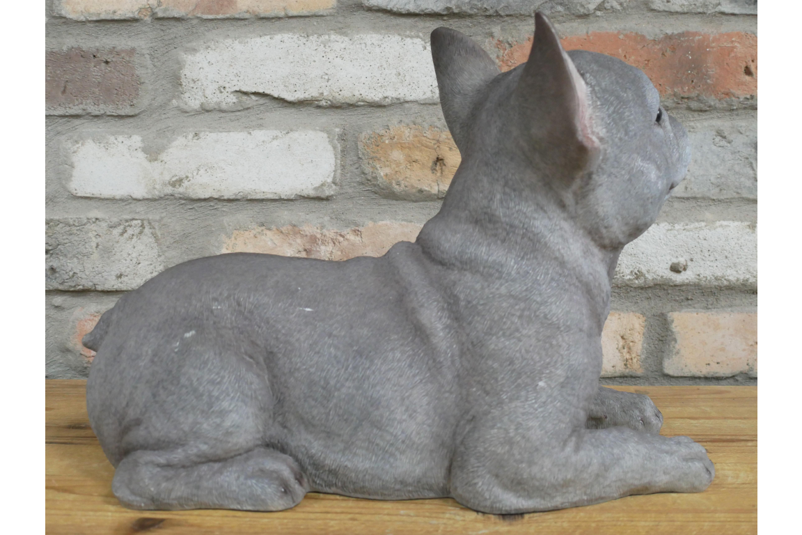Laying Dog (Frenchie)
