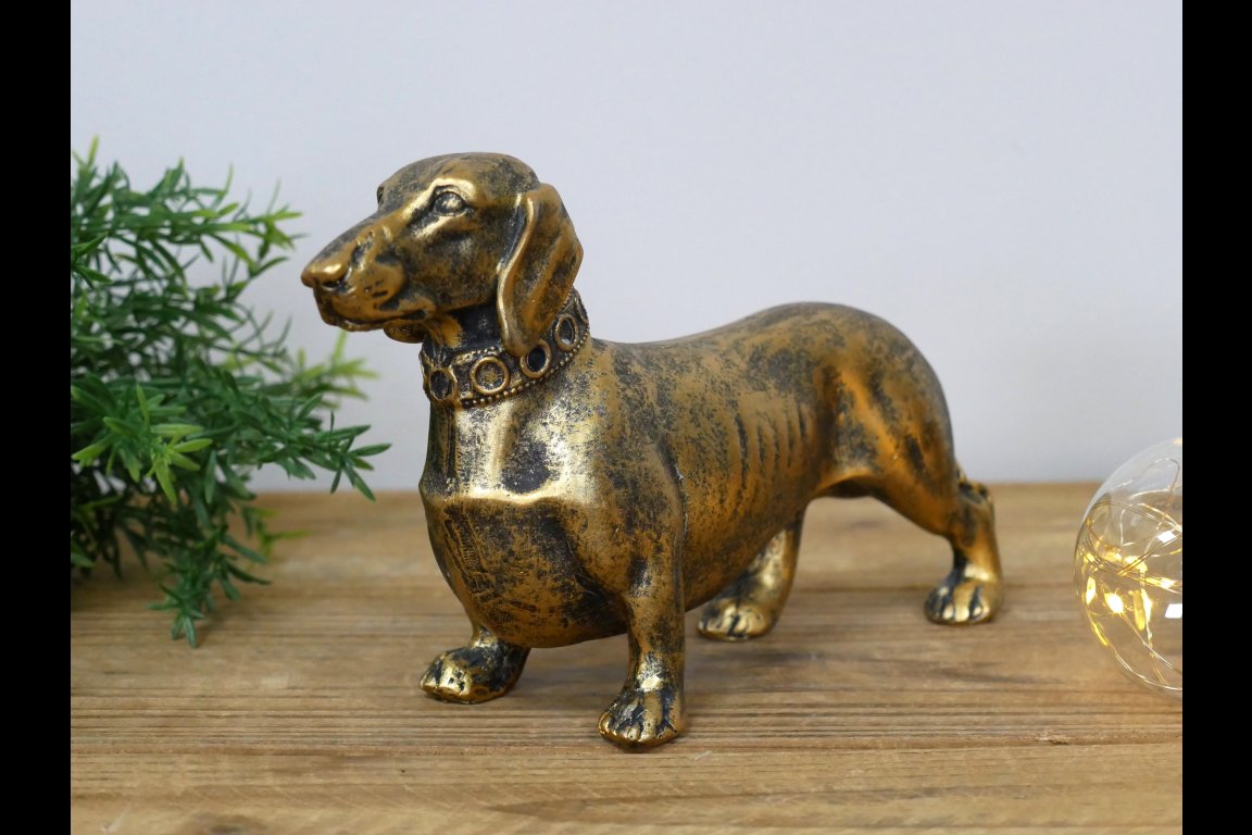 Sausage Dog