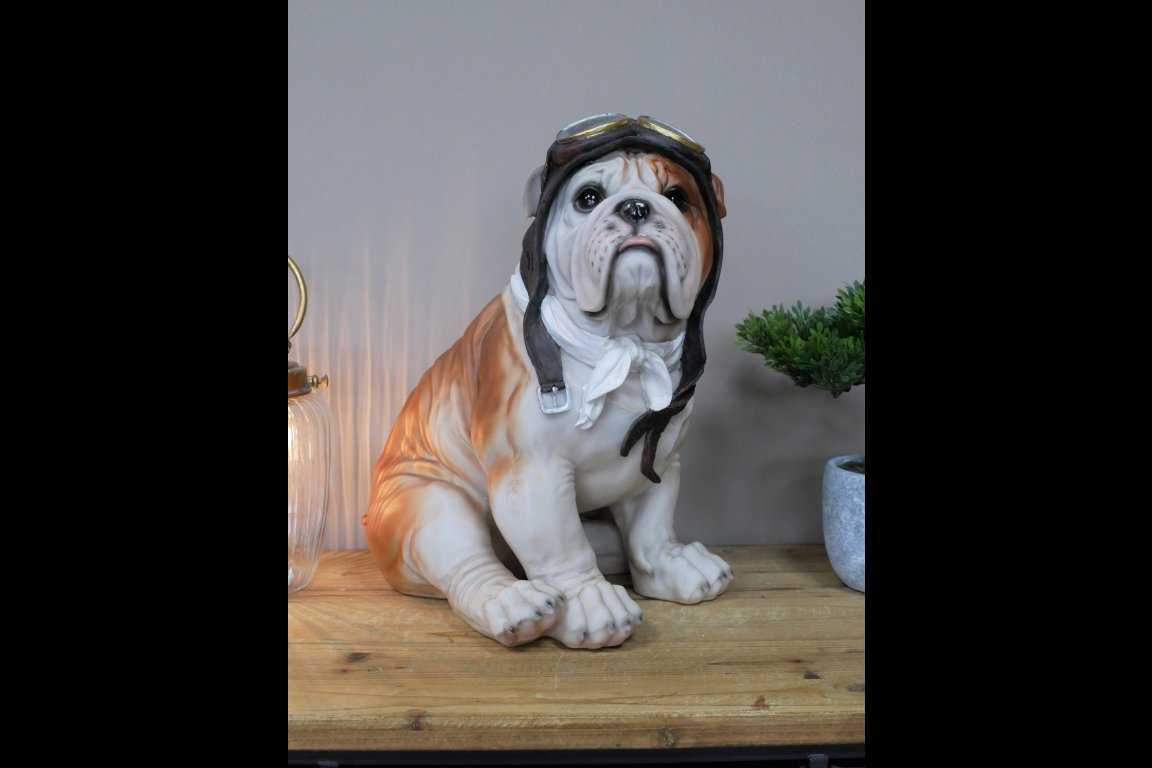 Large Pilot Dog