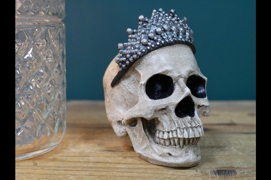 Skull Decoration