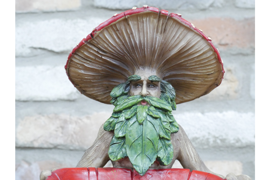 Mushroom Man