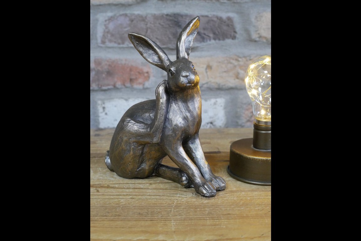 Hare