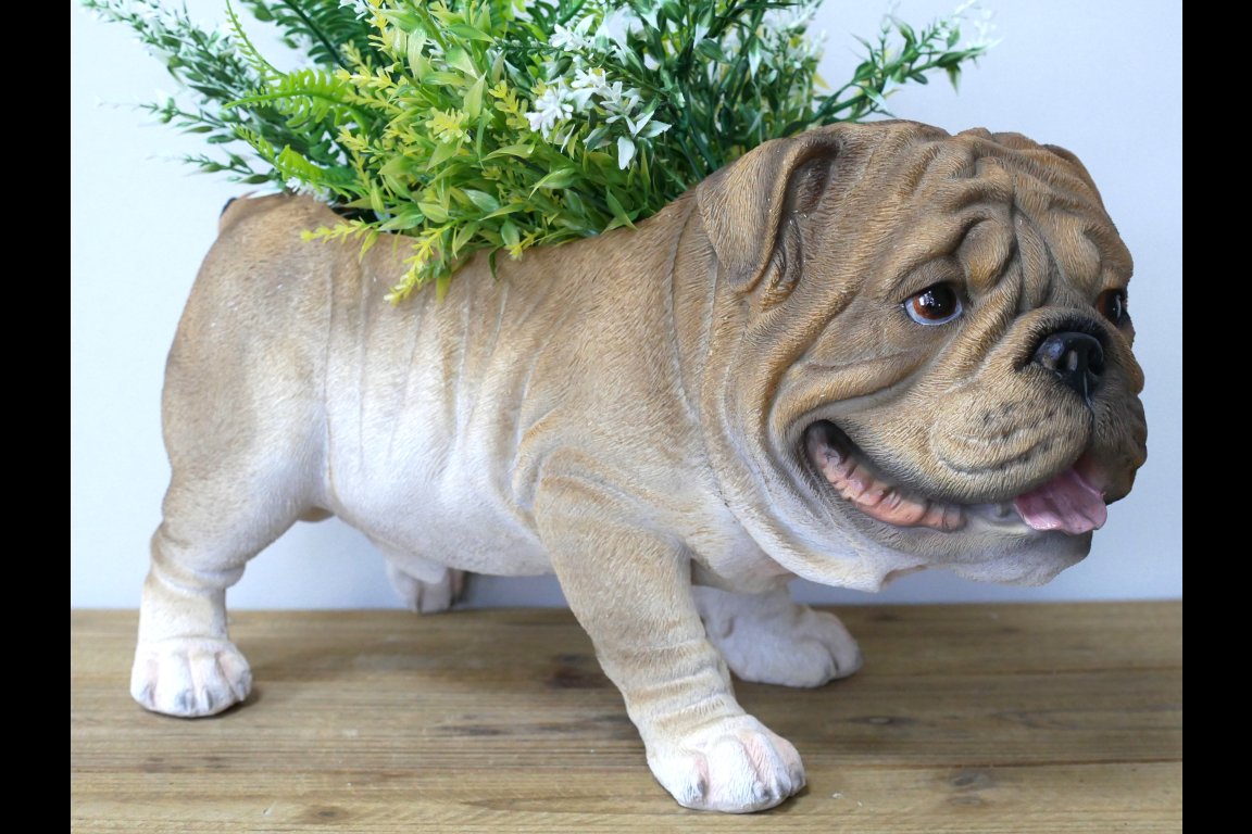 Bulldog Planter