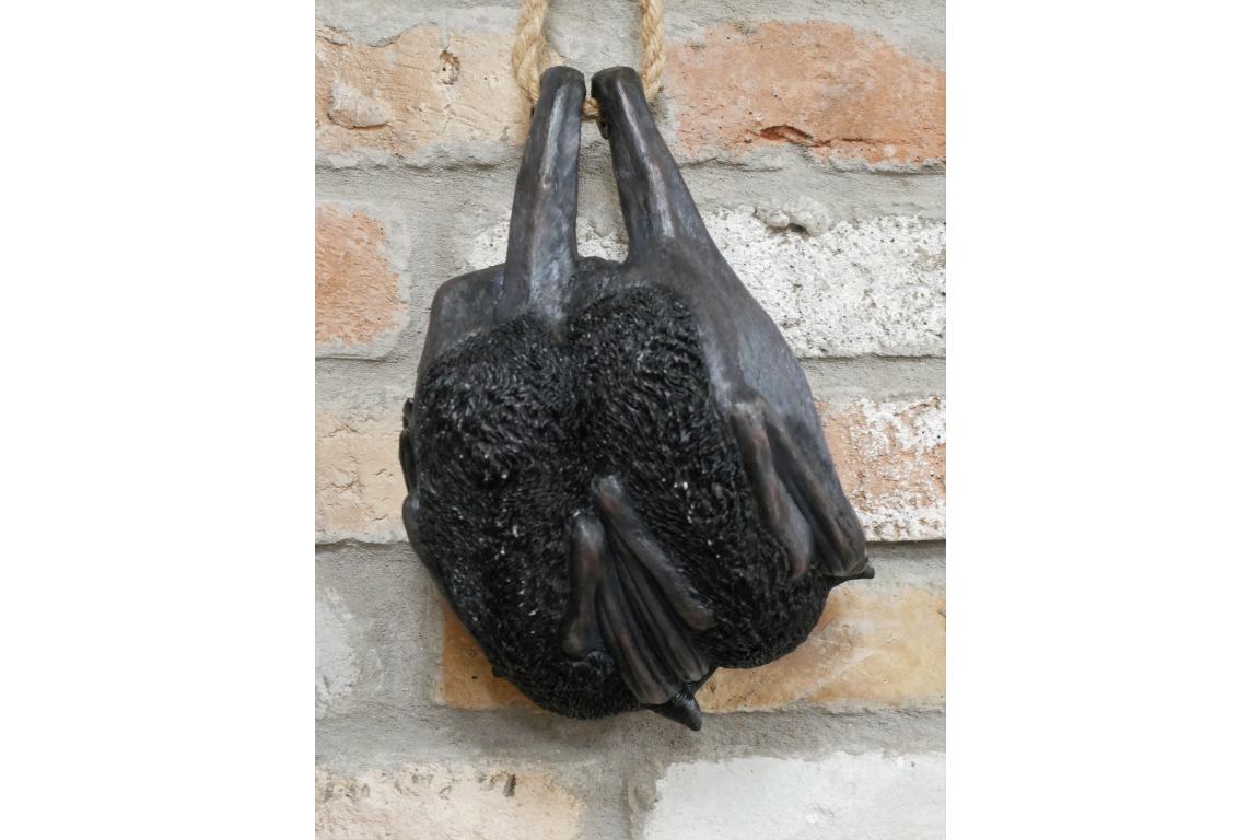 Hanging Bats