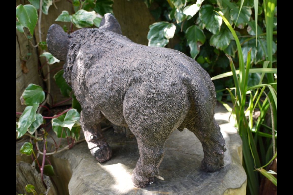 Pig