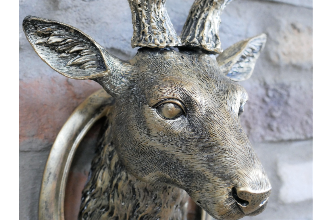 Stag Head