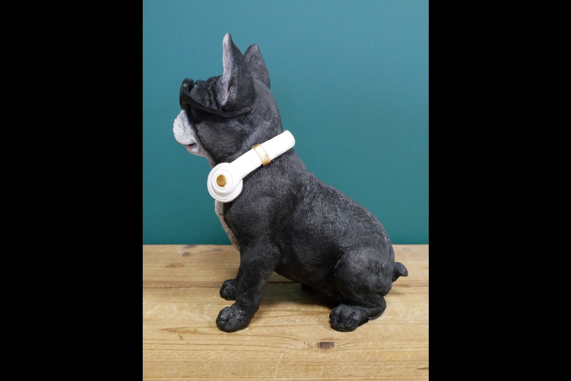 Dog With Headphones