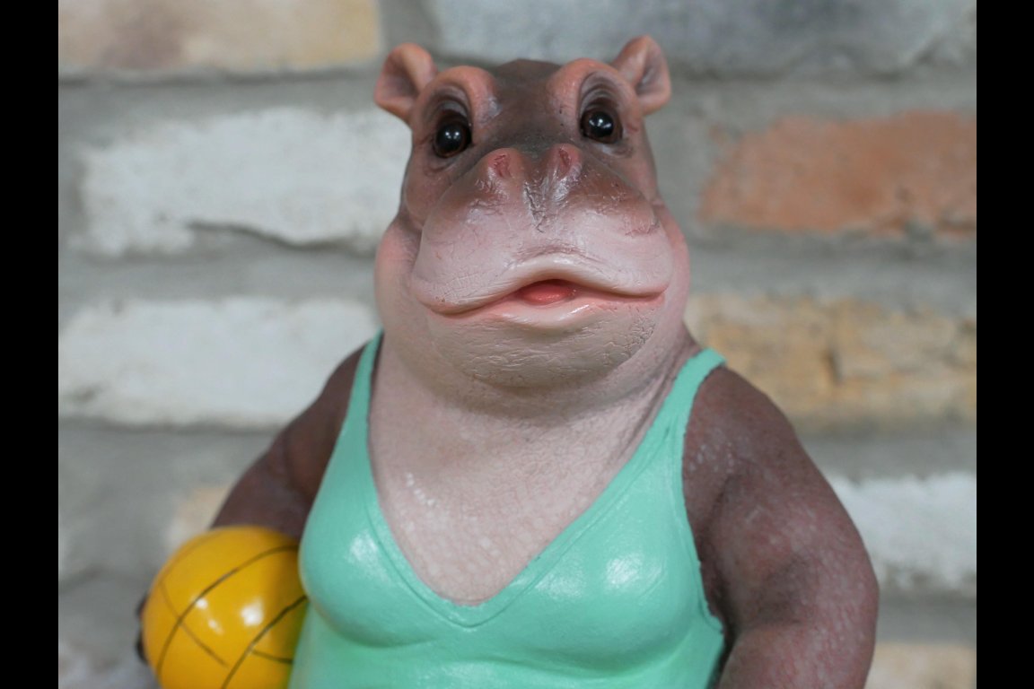 Hippo With Volleyball