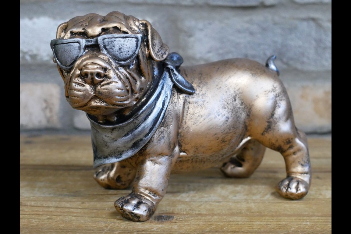 Dog With Shades