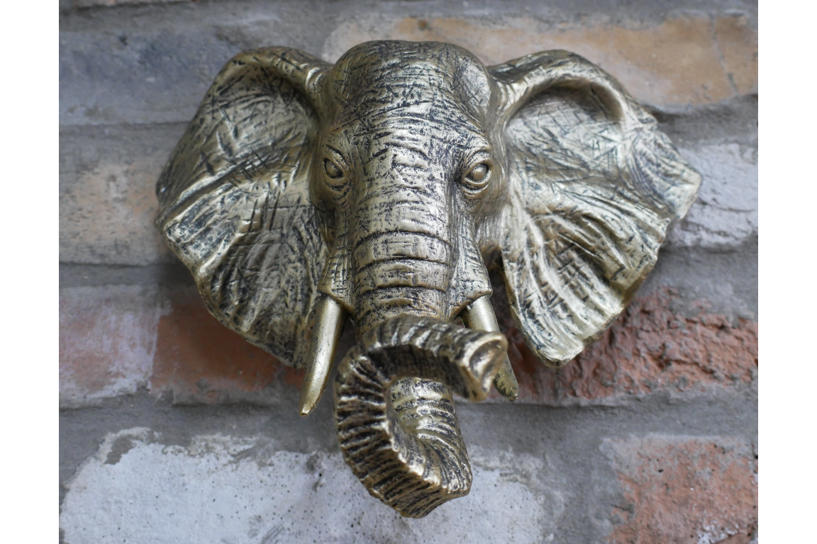 Elephant Head