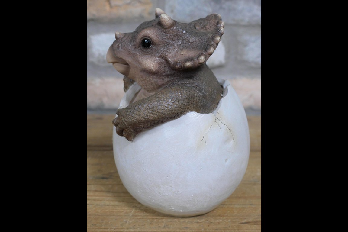 Dinosaur Egg