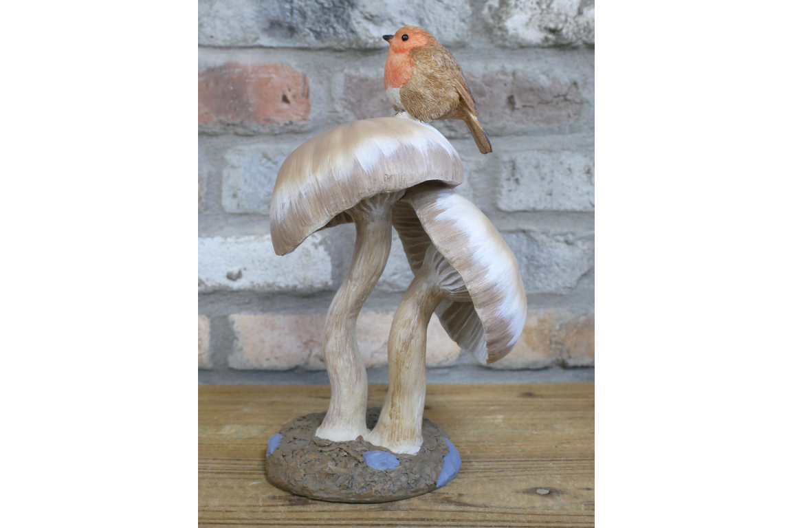 Robin On Top Of Mushrooms
