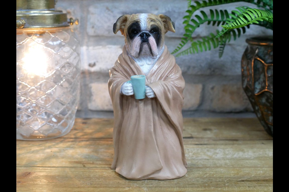 Bedtime Bulldog