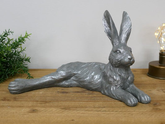 Laying Hare