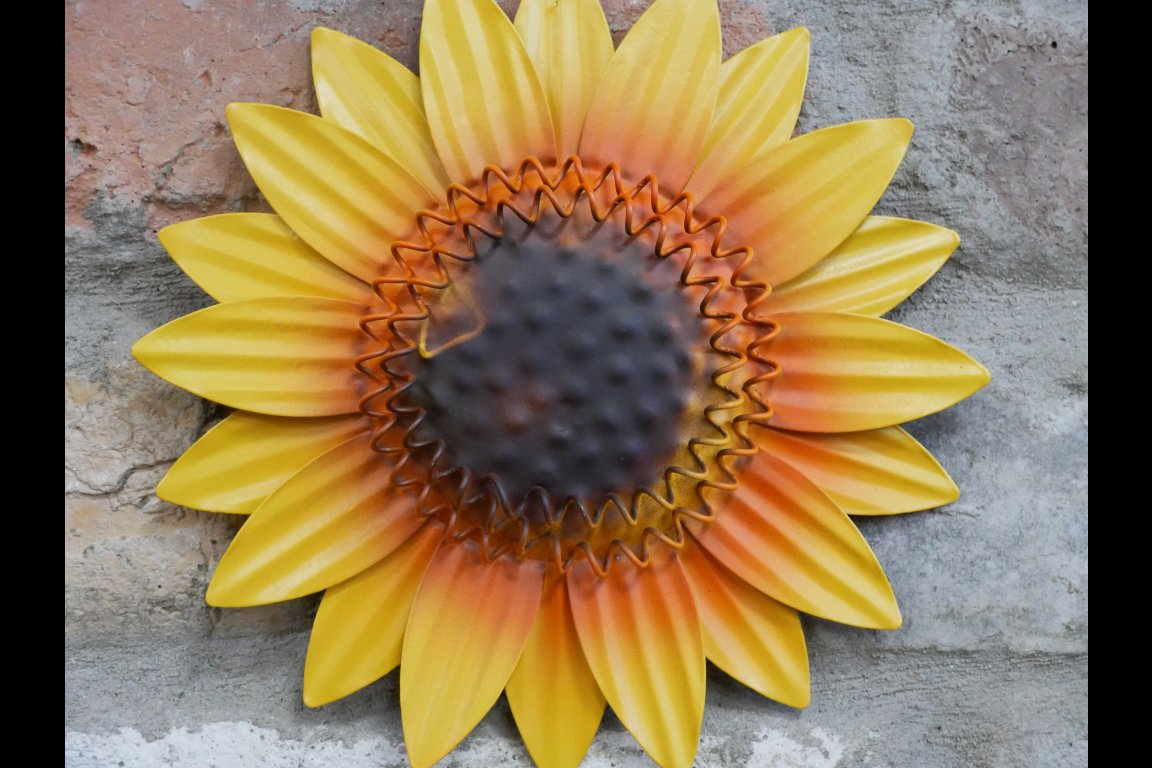 Sunflower Head Wall Decoration - M