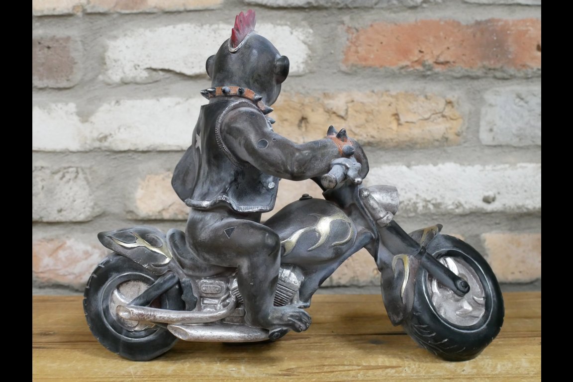 Monkey On Motorbike