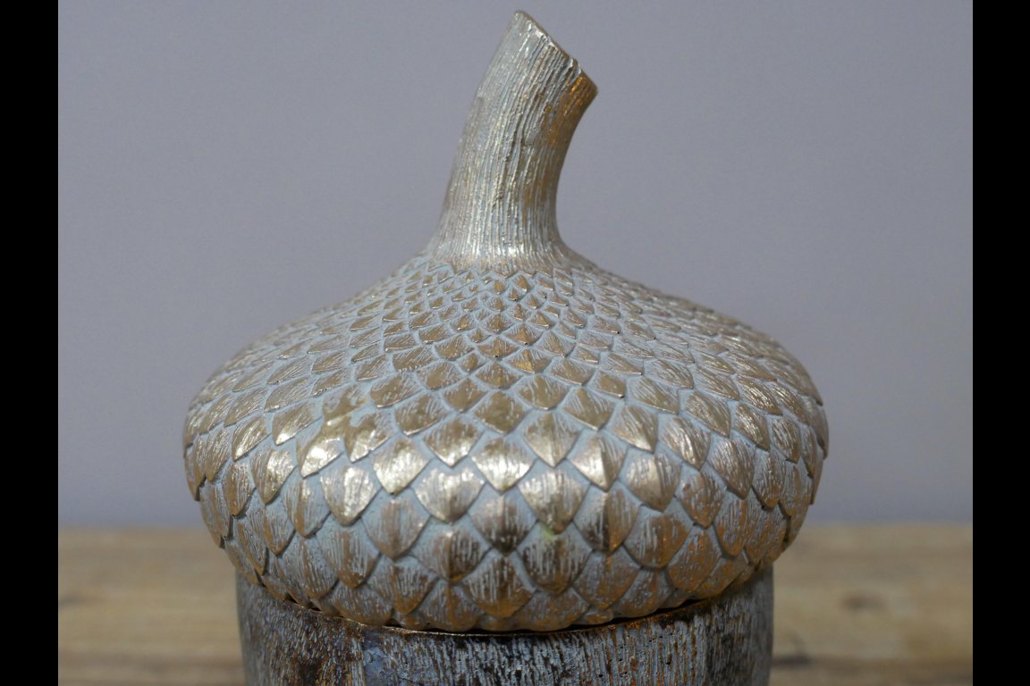 Acorn