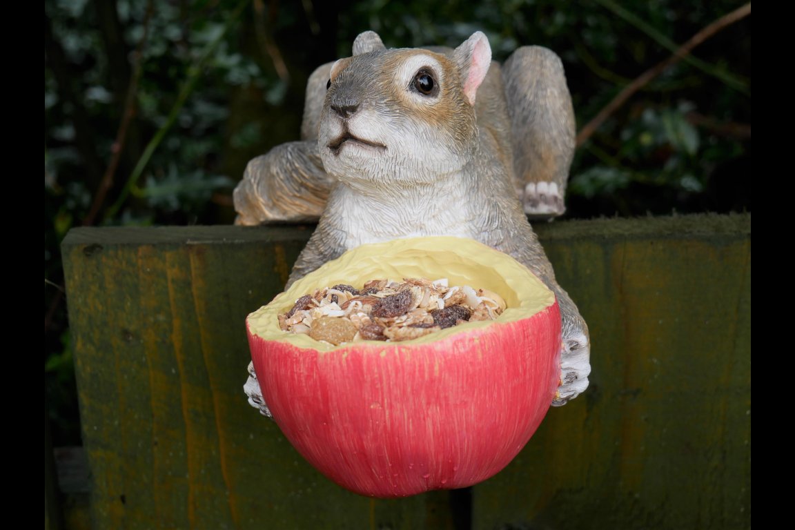 Squirrel Feeder