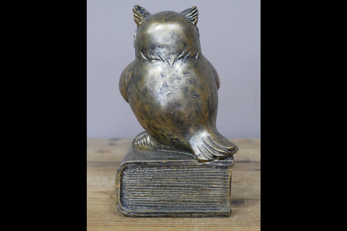 Reading Owl