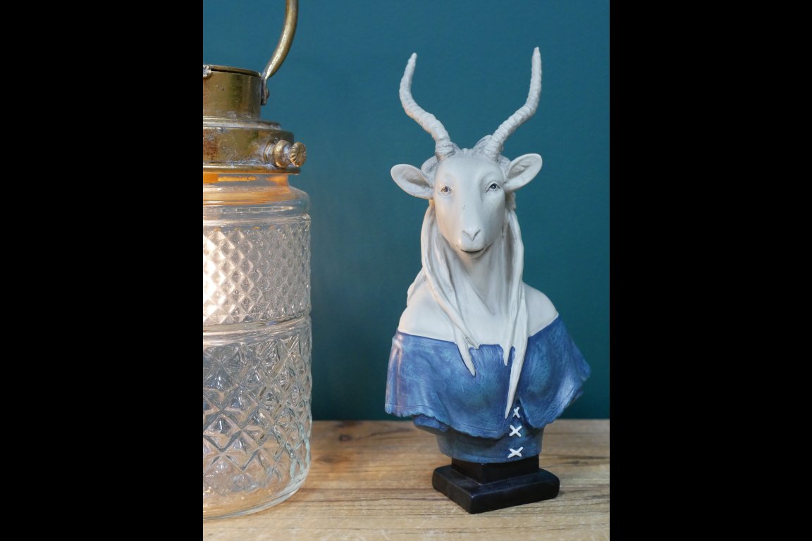 Antelope Bust