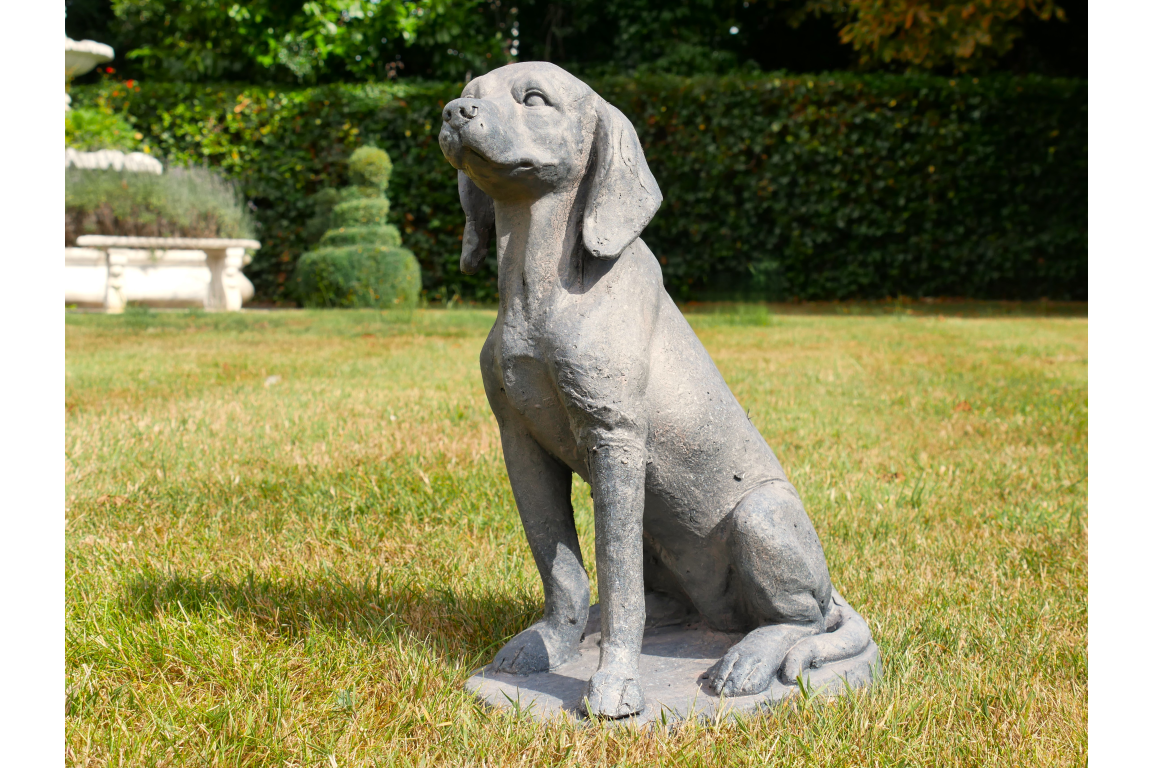 Sitting Dog
