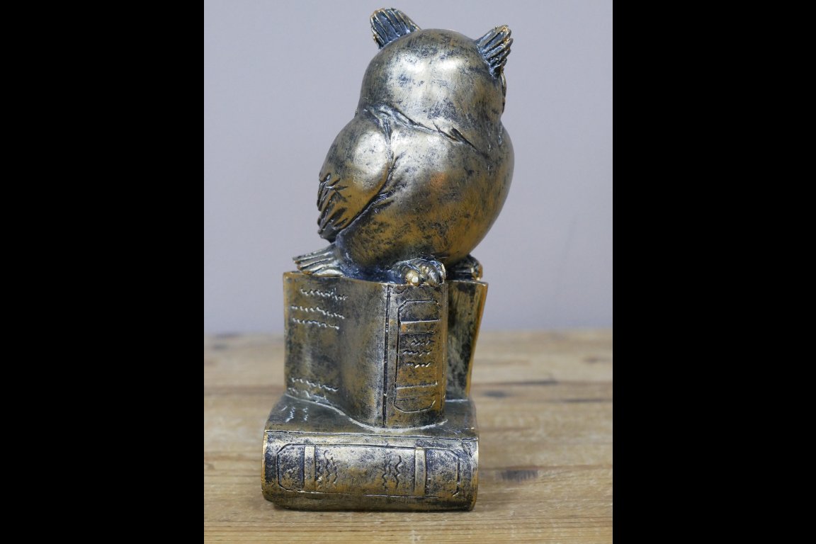Owl Stood On Books