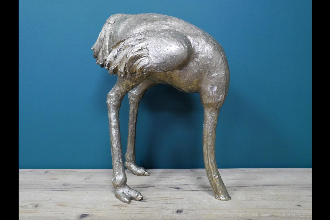 Ostrich (Head In Sand)