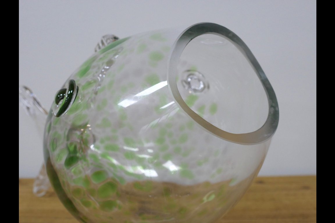 Big Mouth Glass Fish