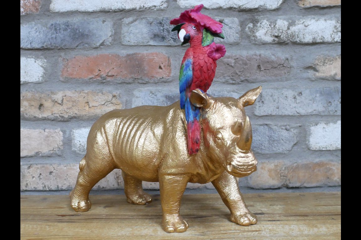 Rhino & Parrot