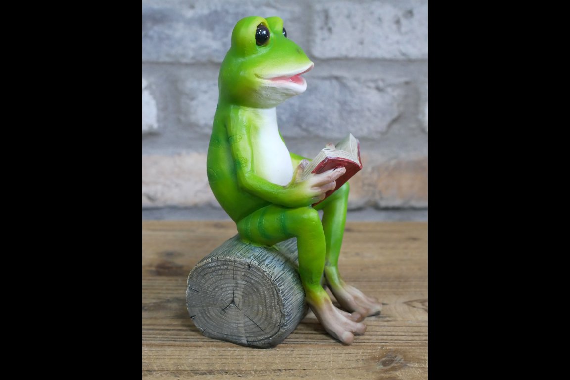 Reading Frog