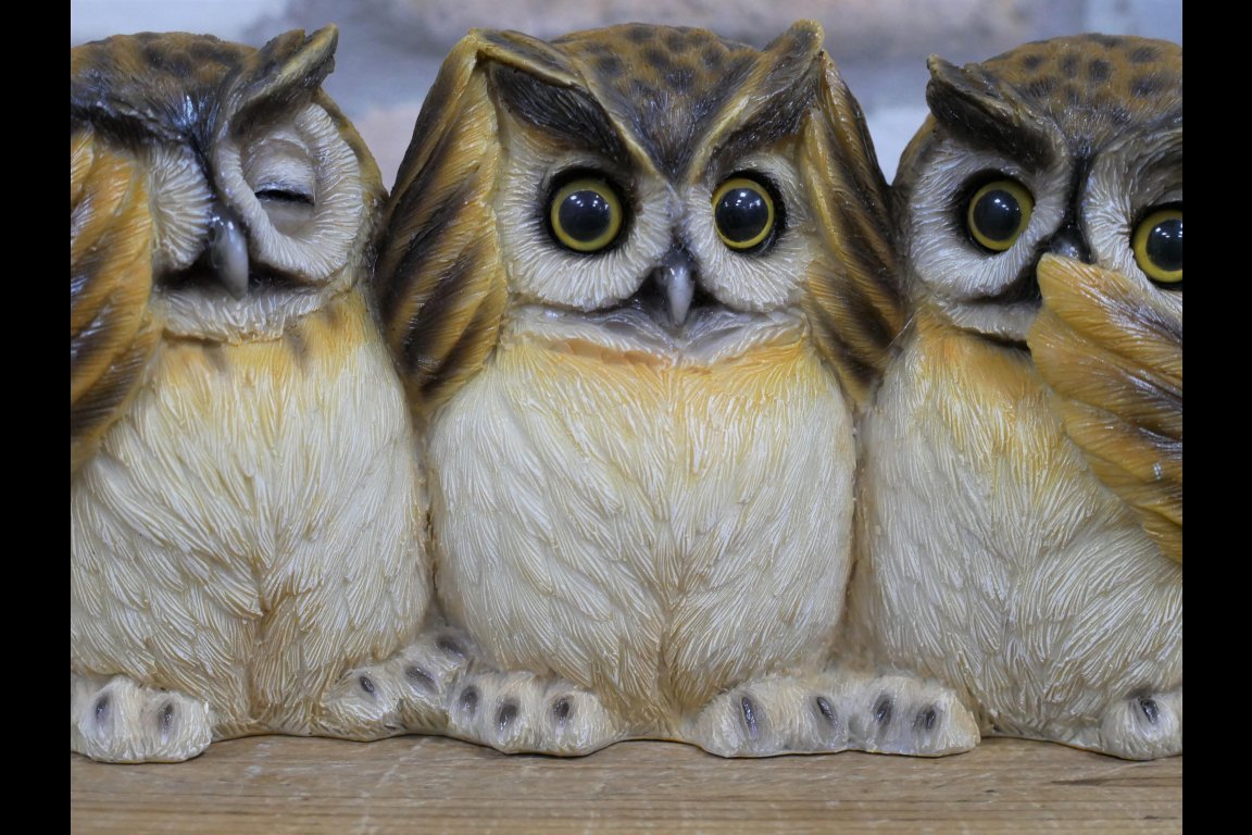 Three Owls