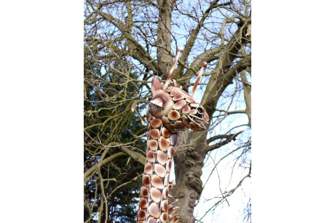 Giraffe Medium