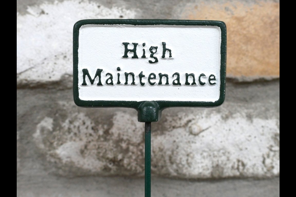 Plant Sign - High Maintenance