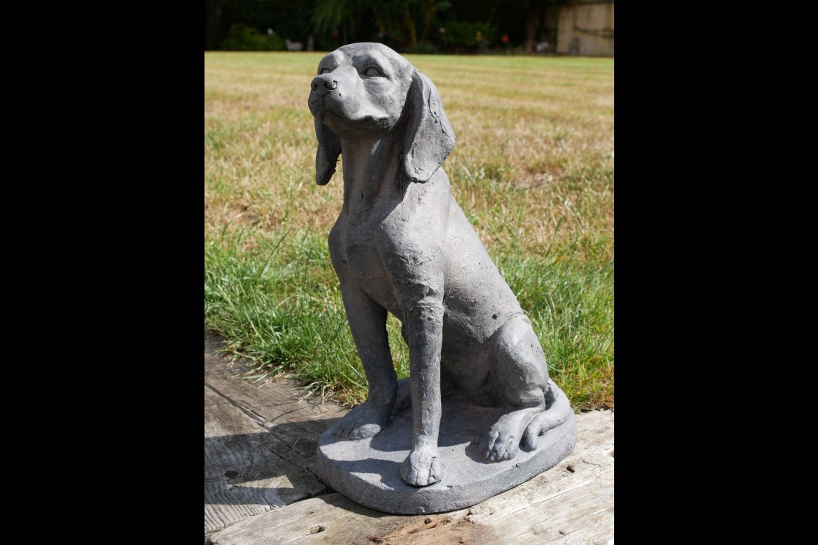 Sitting Dog