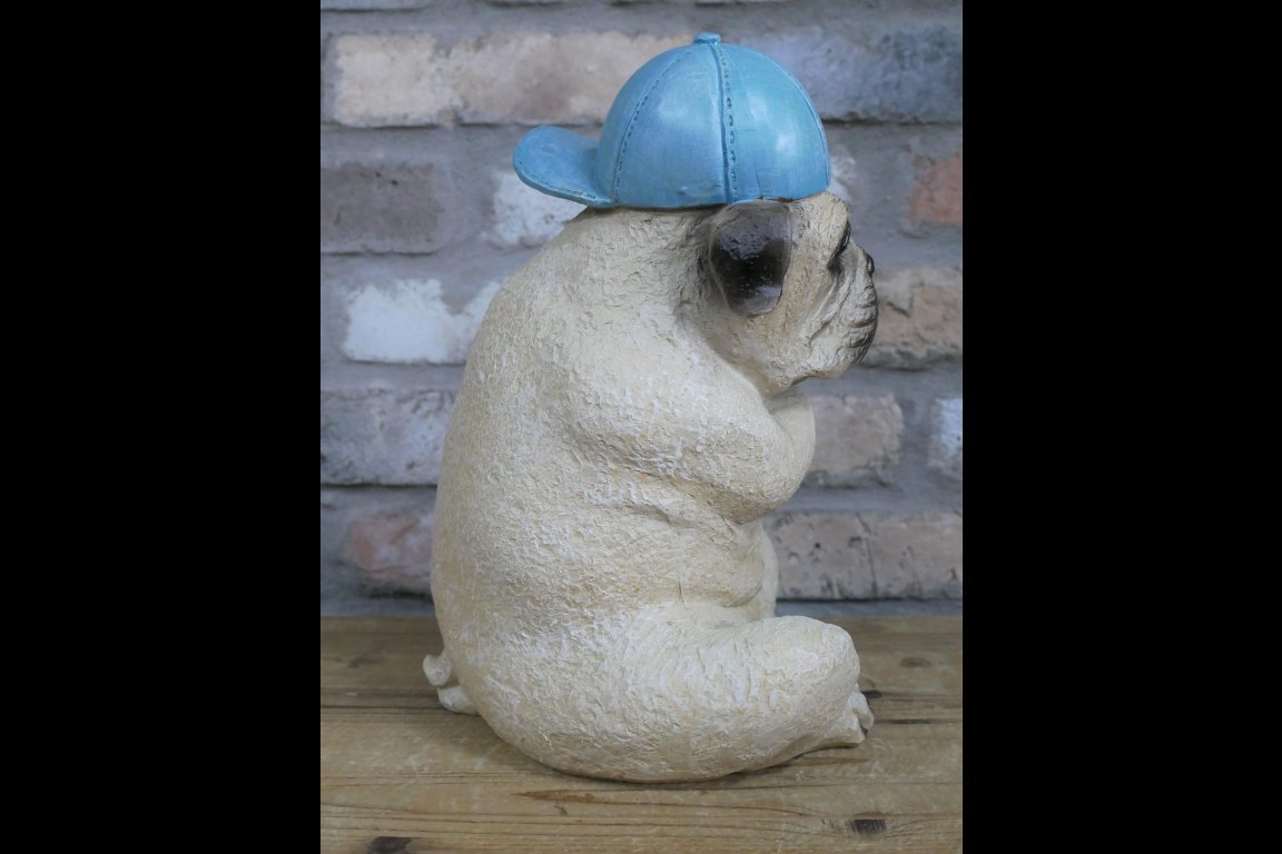 Arms Crossed Bulldog