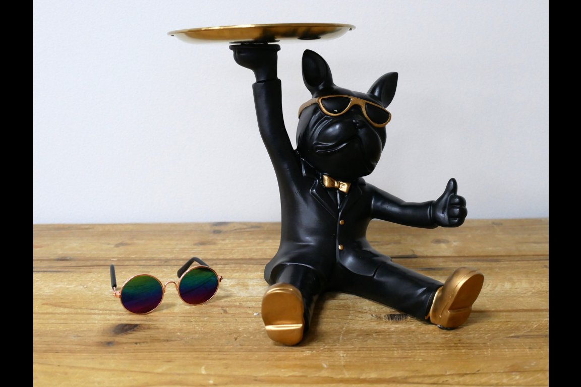 Thumbs Up Dog With Tray