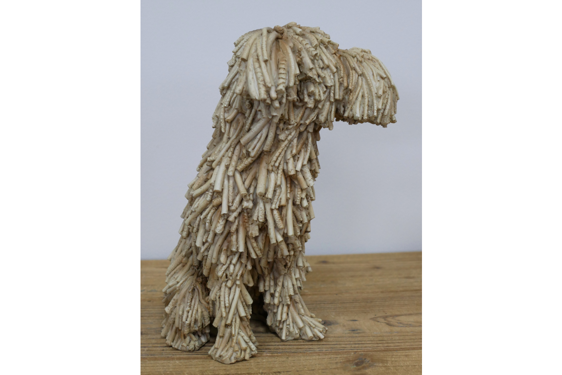 Sitting Shaggy Dog