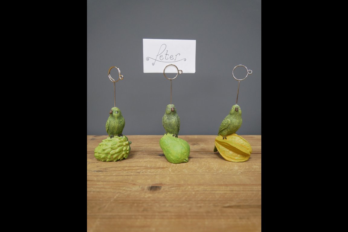 Parrot Place Card Holders