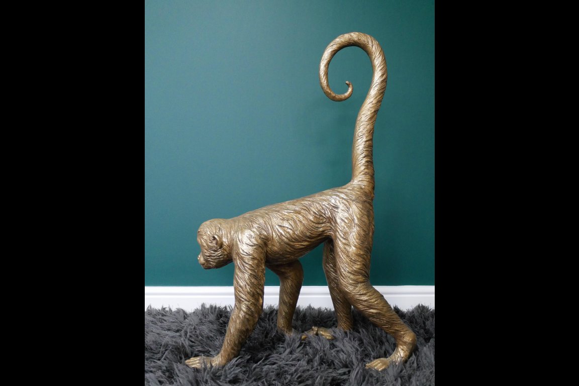 Monkey