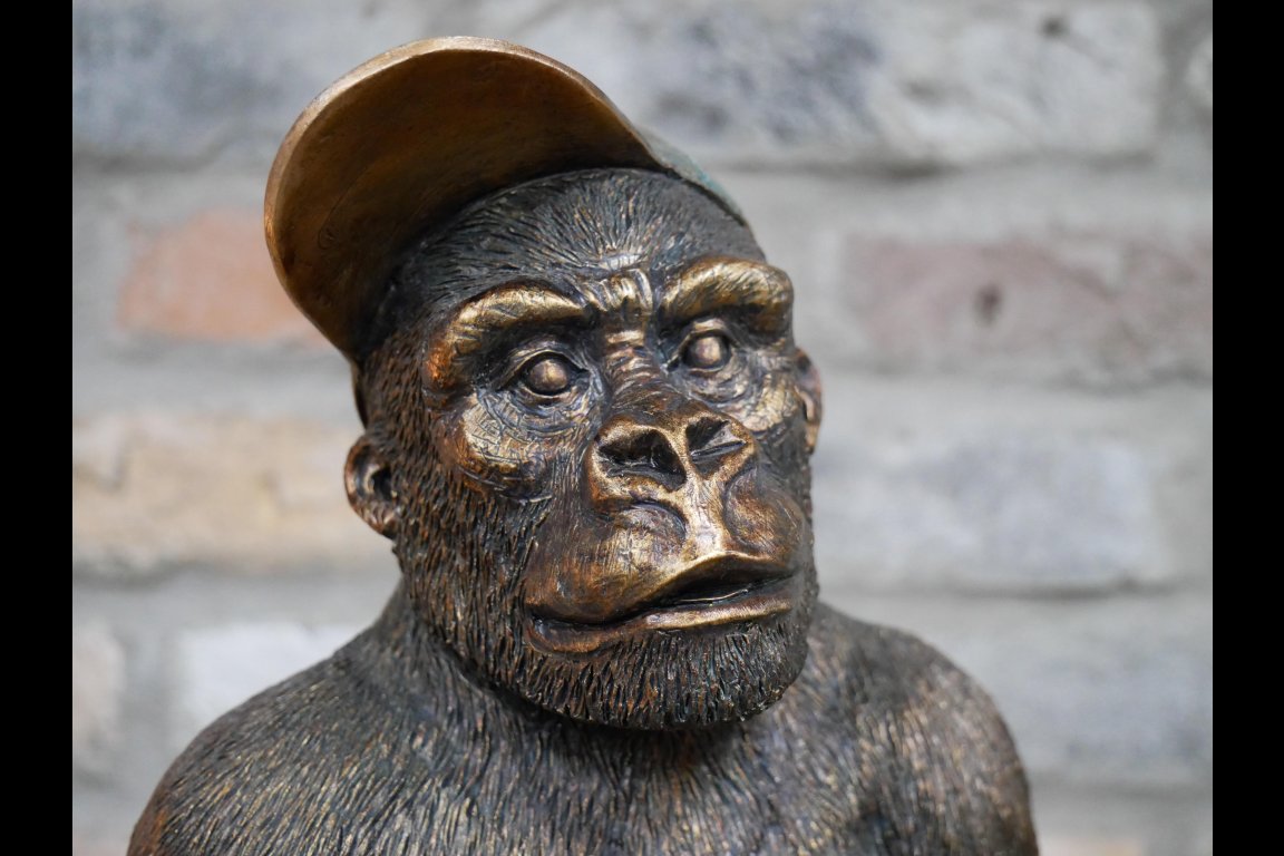 Gavin The Gorilla (Junior)