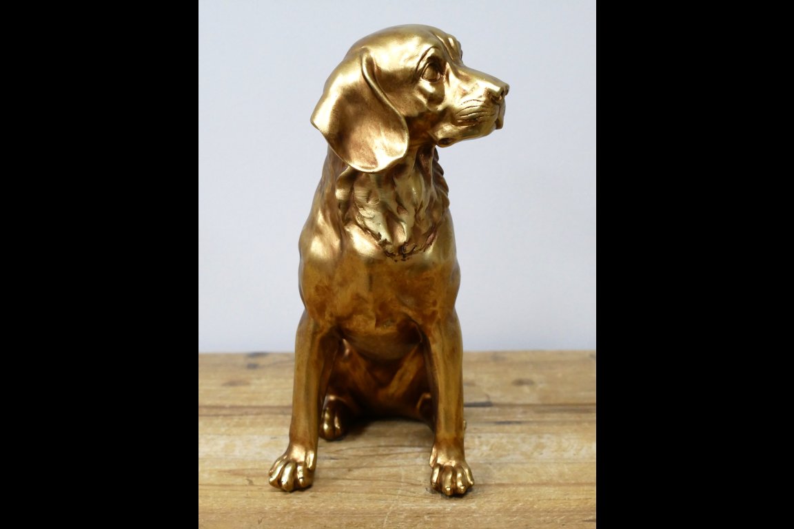 Golden Dog