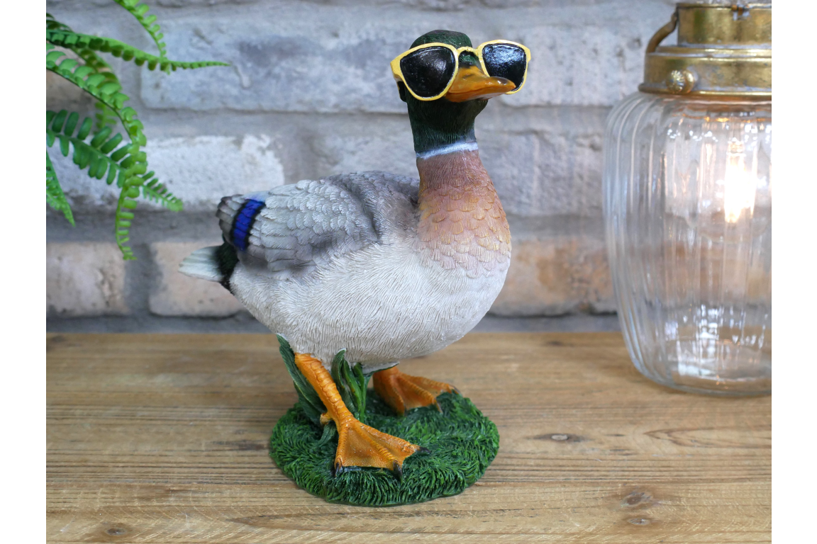 Duck In Shades